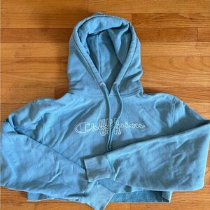 Champion Reverse Weave Cropped Hoodie